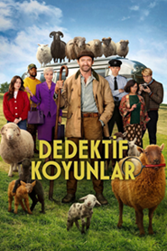 Dedektif Koyunlar