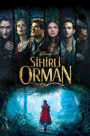 Sihirli Orman
